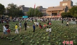 瓜田娱乐吃瓜,揭秘娱乐圈那些鲜为人知的“吃瓜”故事