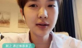 爆料直播间张艺凡视频下载,揭秘幕后精彩瞬间